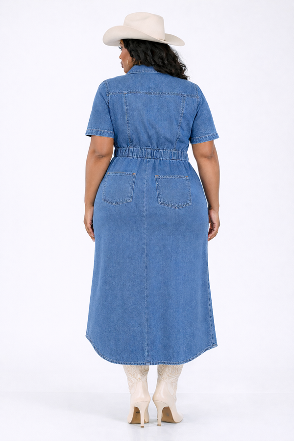 Curvy Denim Dress