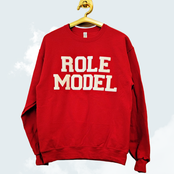 VARSITY SWEATER-Role Model Sweatshirt